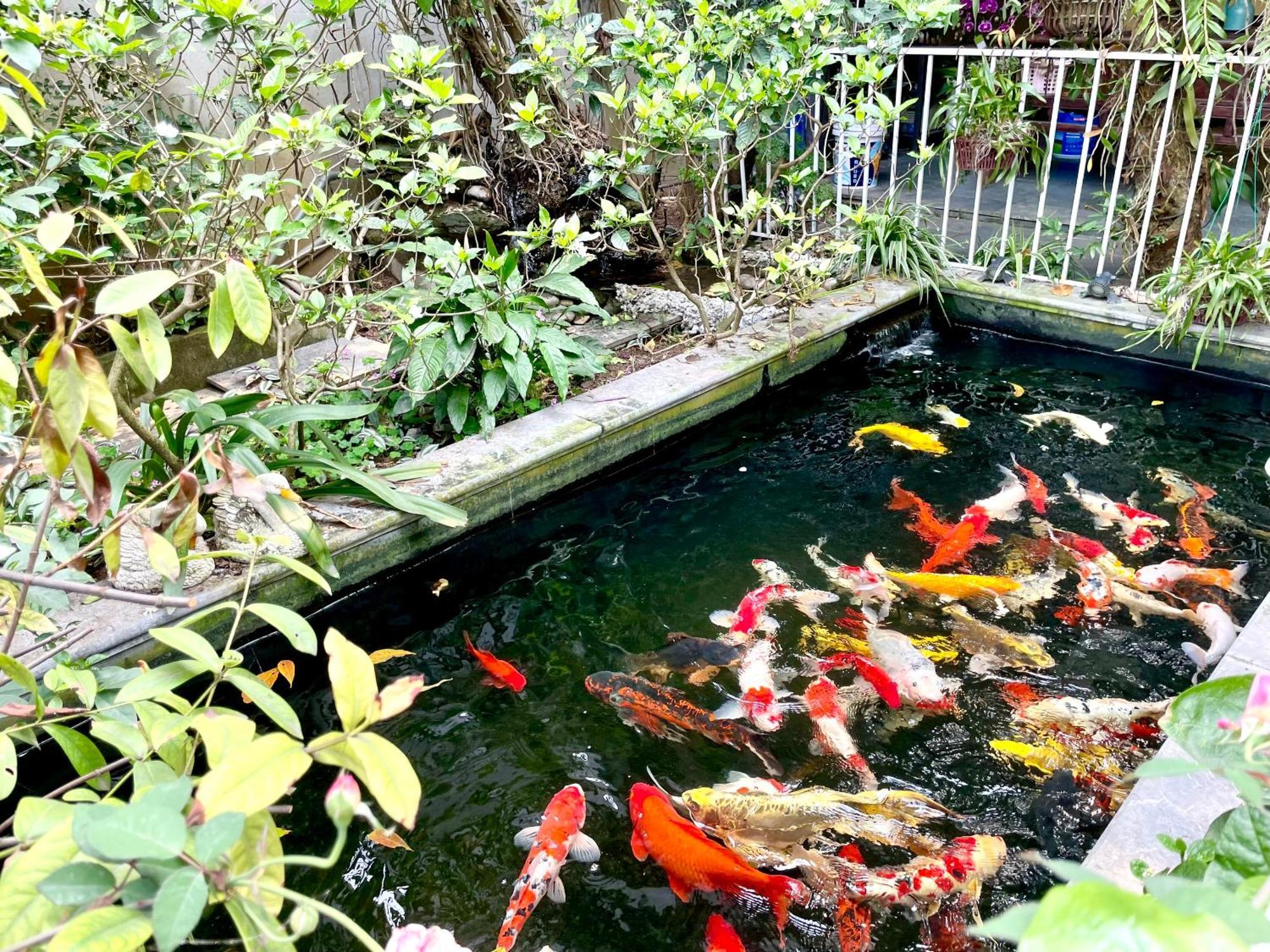 Lee Homestay 河内 外观 照片