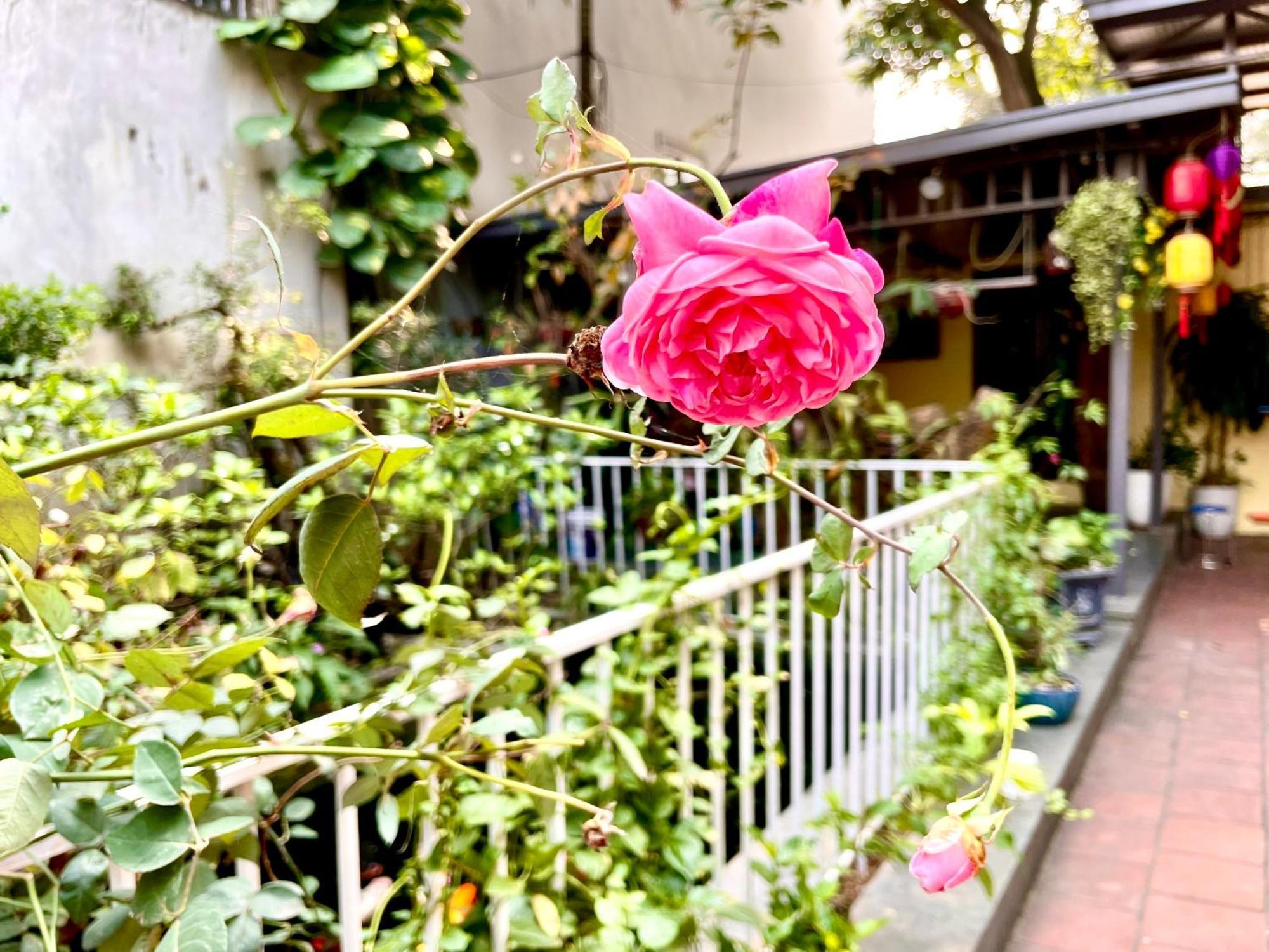 Lee Homestay 河内 外观 照片