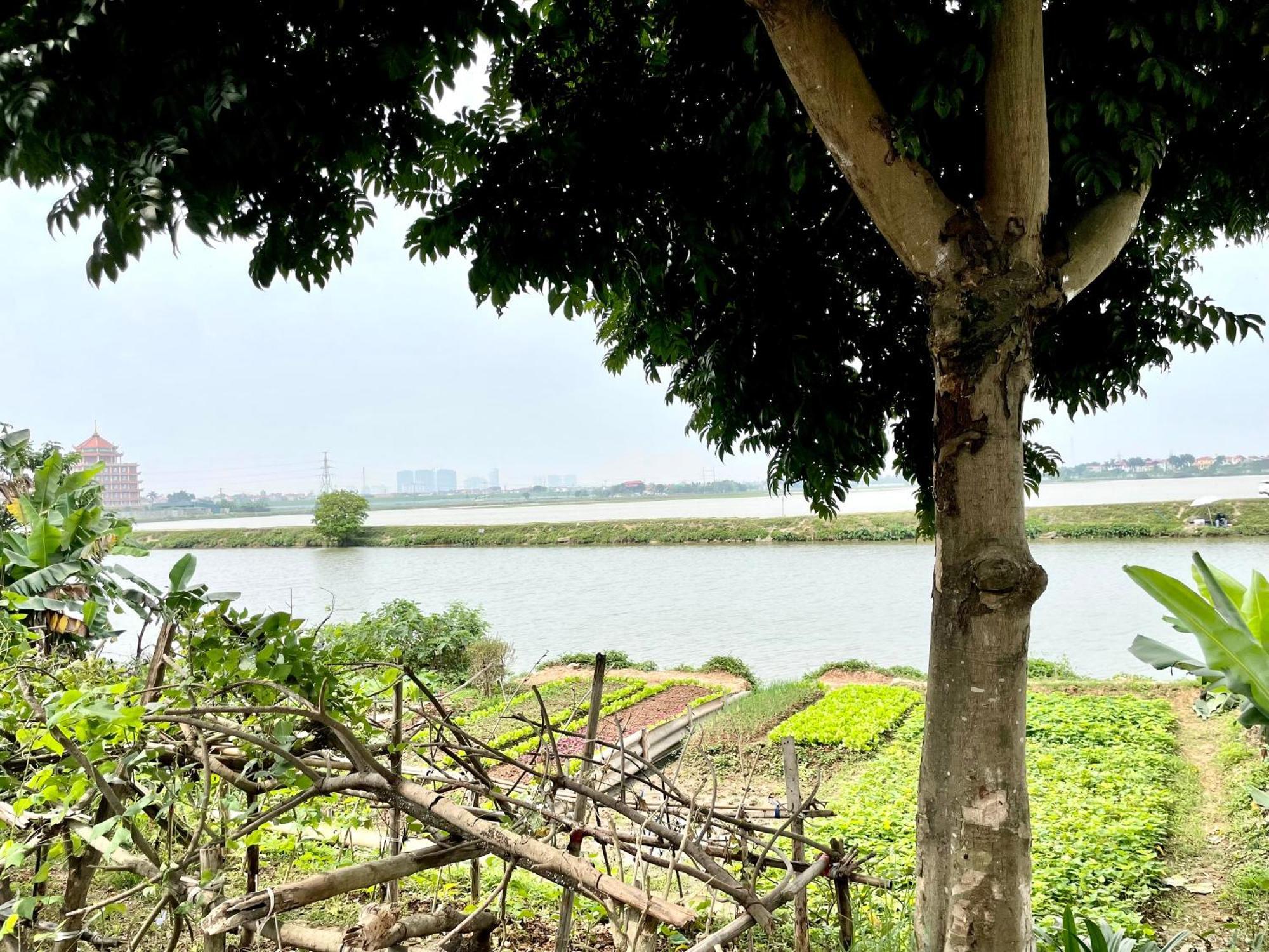 Lee Homestay 河内 外观 照片